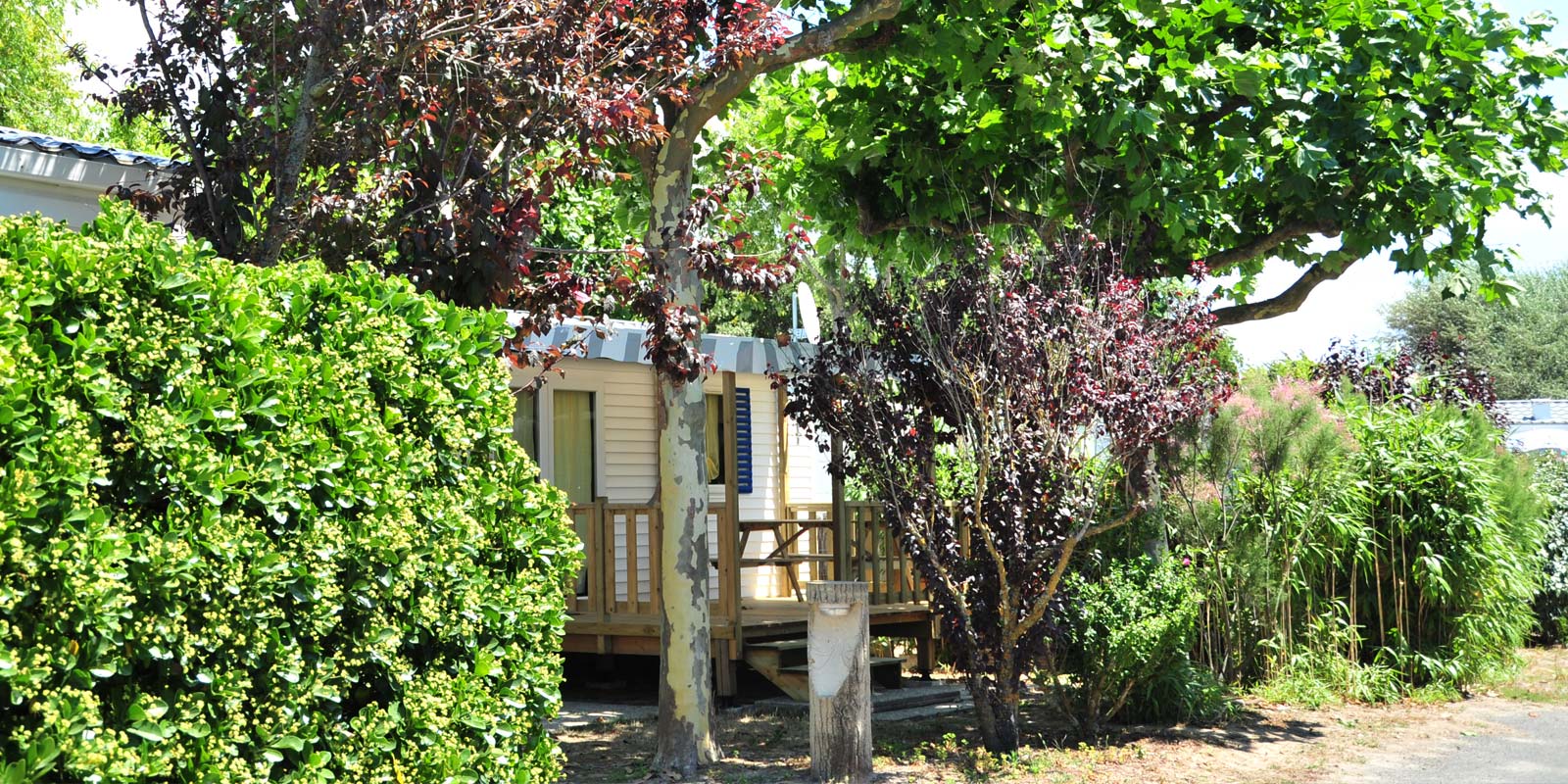 Arbres devant un mobil-home au parc du camping à Saint-Hilaire