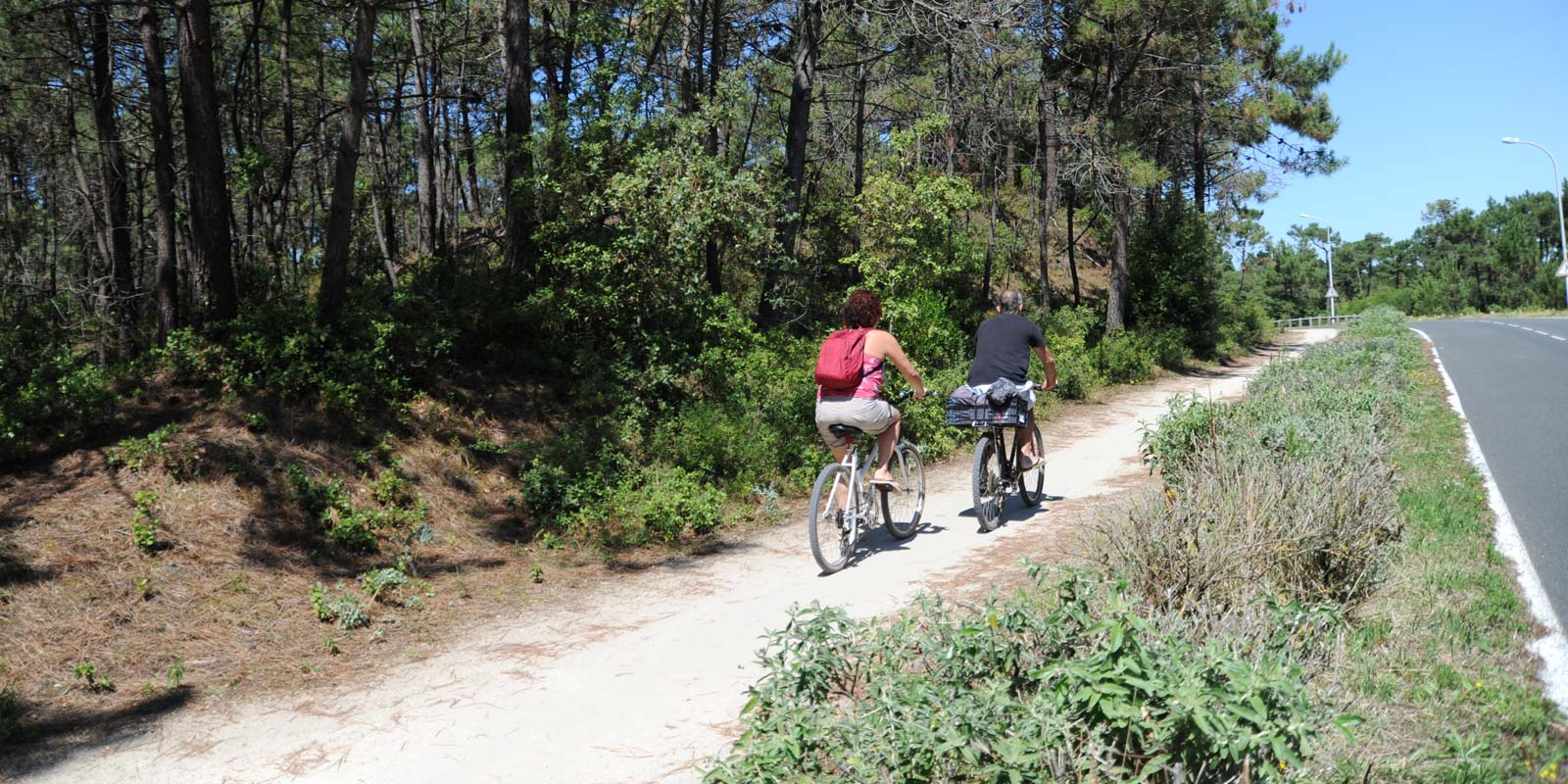 Bike path in Vendée near the campsite in Saint-Hilaire-de-Riez