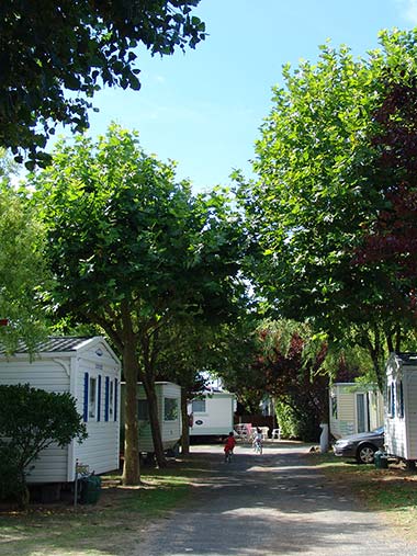 Bewaldete Gasse mit Mobilheimen auf dem Campingplatz in Saint-Hilaire-de-Riez