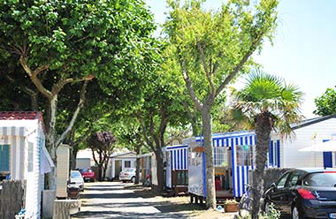 Allée et mobil-homes à louer du parc du camping Le Bois Tordu 85