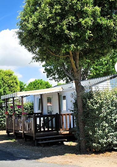 A beautiful tree in front of a mobile home with a terrace for rent in Saint-Hilaire