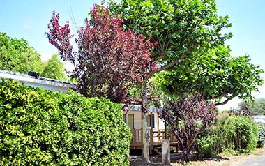 Mobil-home dans le parc arboré du camping le Bois Tordu en Vendée