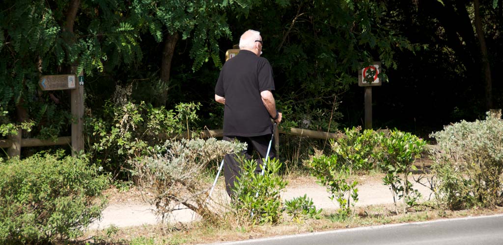 Promeneur en bord de dunes à Saint-Hilaire-de-Riez en Vendée