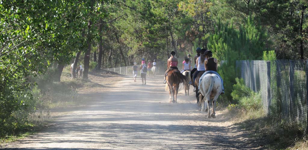Riders on an equestrian path in Saint-Hilaire-de-Riez near the campsite