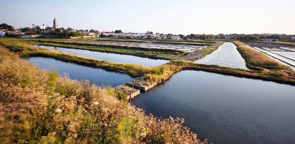 Salt marshes on the island of Noirmoutier in Vendée