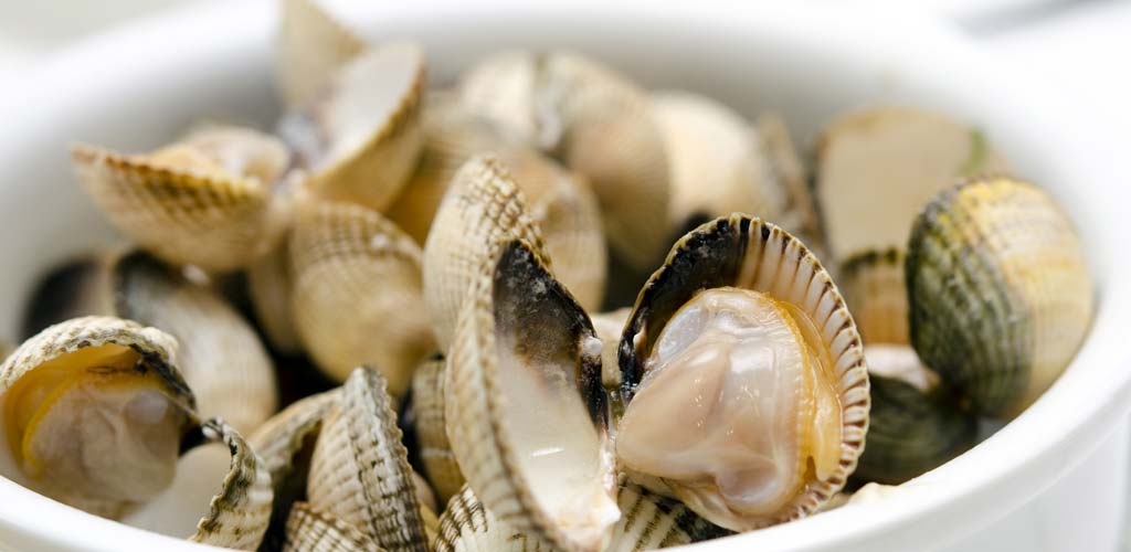 Fruits de mer pêchés dans l'Atlantique en Vendée